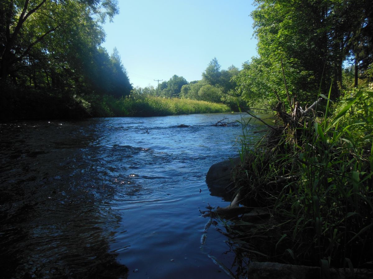 Podél řeky Freiberská Mulda