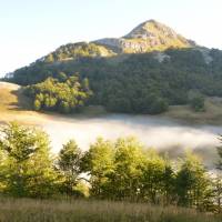 Popis: Zelengora: ranní mlha nad Orlovačko jezerem