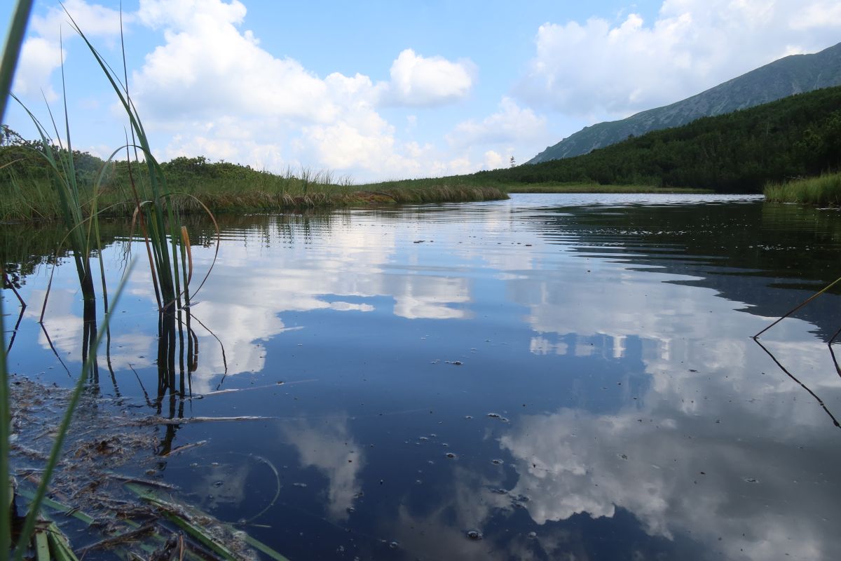 Trojrohé pleso: závan Laponska!